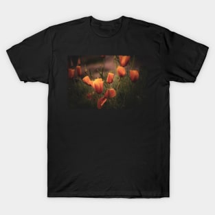 California poppies orange T-Shirt